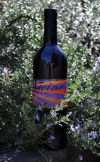 Spelletich Cellars 2007 SPELLwine Lodi County Sangiovese 750ml Wine Bottle