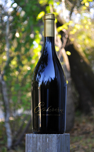 Canihan 2005 Exuberance Syrah 750ml Wine Bottle