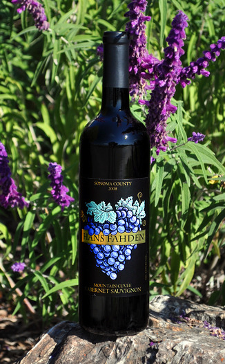 Hans Fahden 2008 Cabernet Sauvignon Mountain Cuvee 750ml Wine Bottle