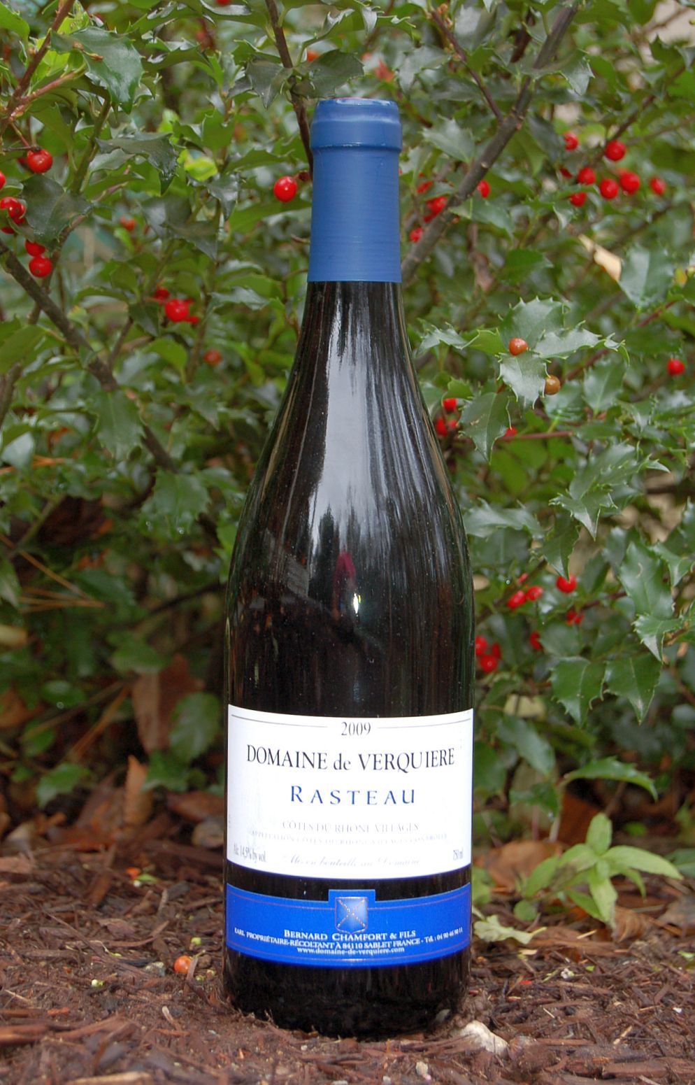 Domaine de Verquiere 2009 Rasteau - Côtes du Rhône Villages Rouge 750ml Wine Bottle