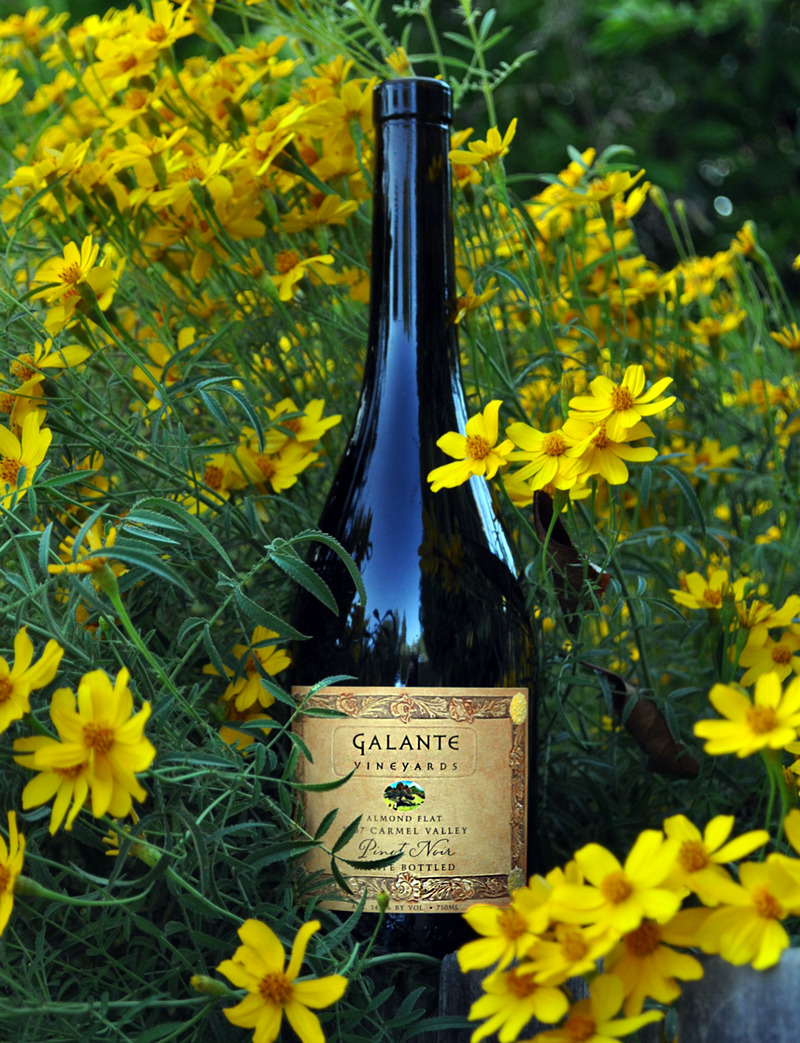Galante Vineyards 2007 Almond Flat Pinot Noir 750ml Wine Bottle