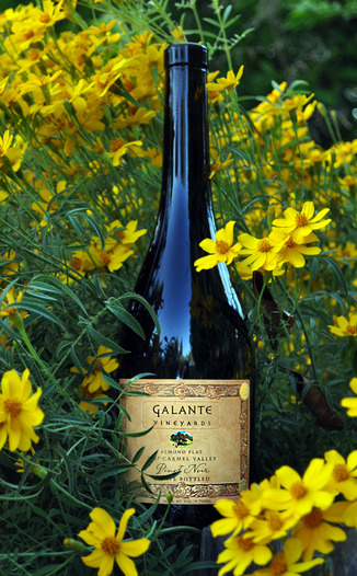 Galante Vineyards 2007 Almond Flat Pinot Noir 750ml Wine Bottle