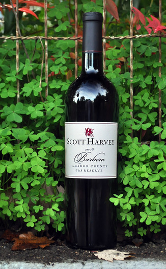 Scott Harvey Wines 2008 J&S Reserve Barbera 750ml Wine Bottle