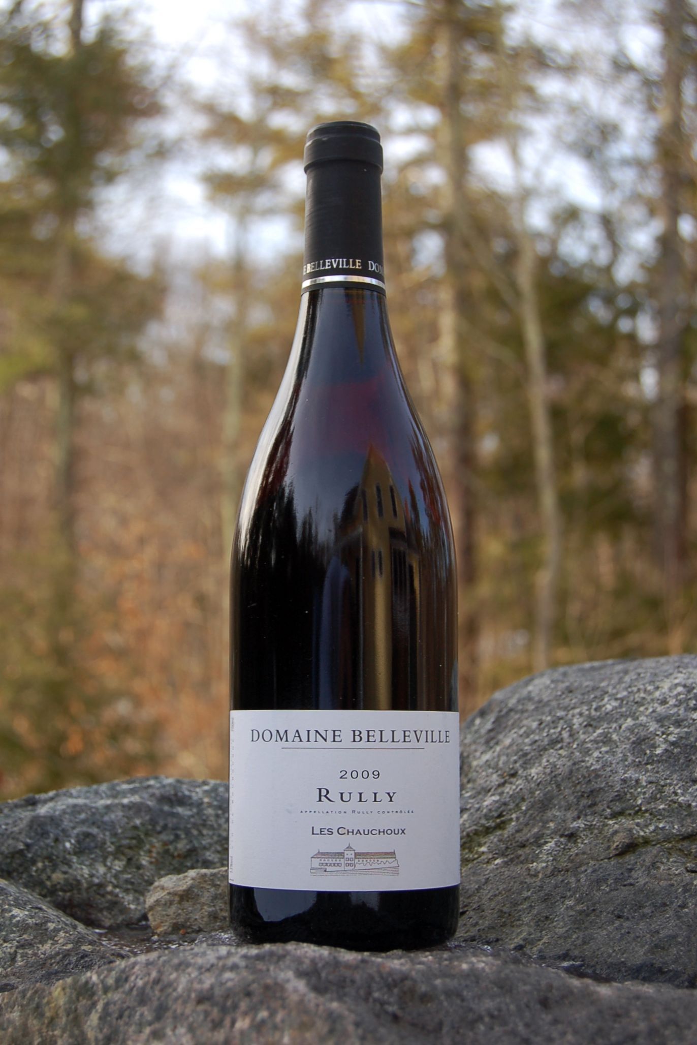 Domaine Christian Belleville 2009 'Les Chauchoux' Rully AOC 750ml Wine Bottle