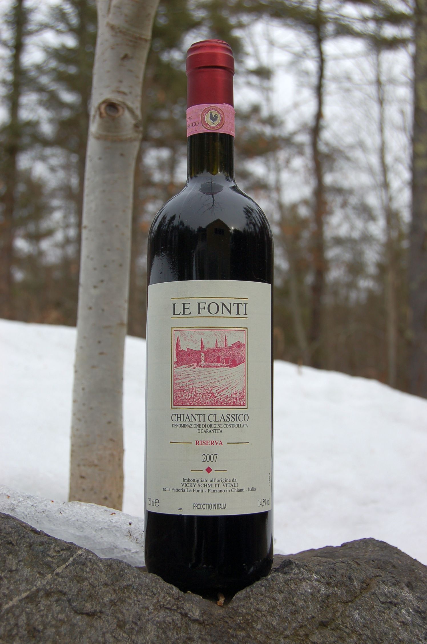 Fattoria Le Fonti 2007 Chianti Classico Riserva D.O.C.G. 750ml Wine Bottle