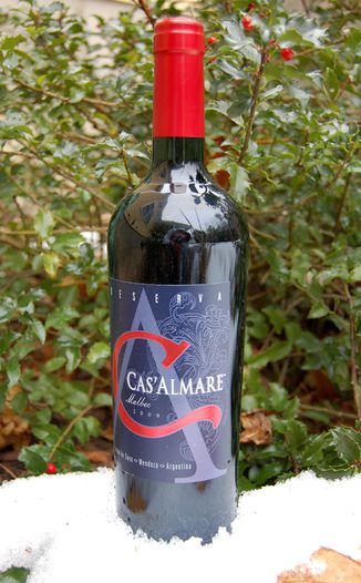 Cas'Almare 2009 Reserva Malbec 750ml Wine Bottle
