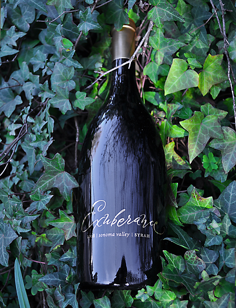Canihan 2008 Exuberance Syrah 750ml Wine Bottle