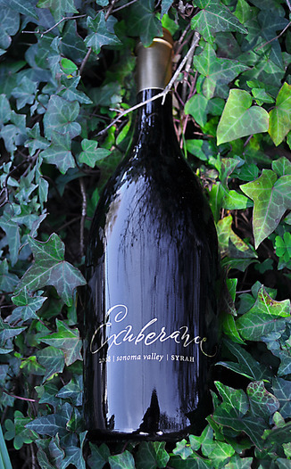 Canihan 2008 Exuberance Syrah 750ml Wine Bottle