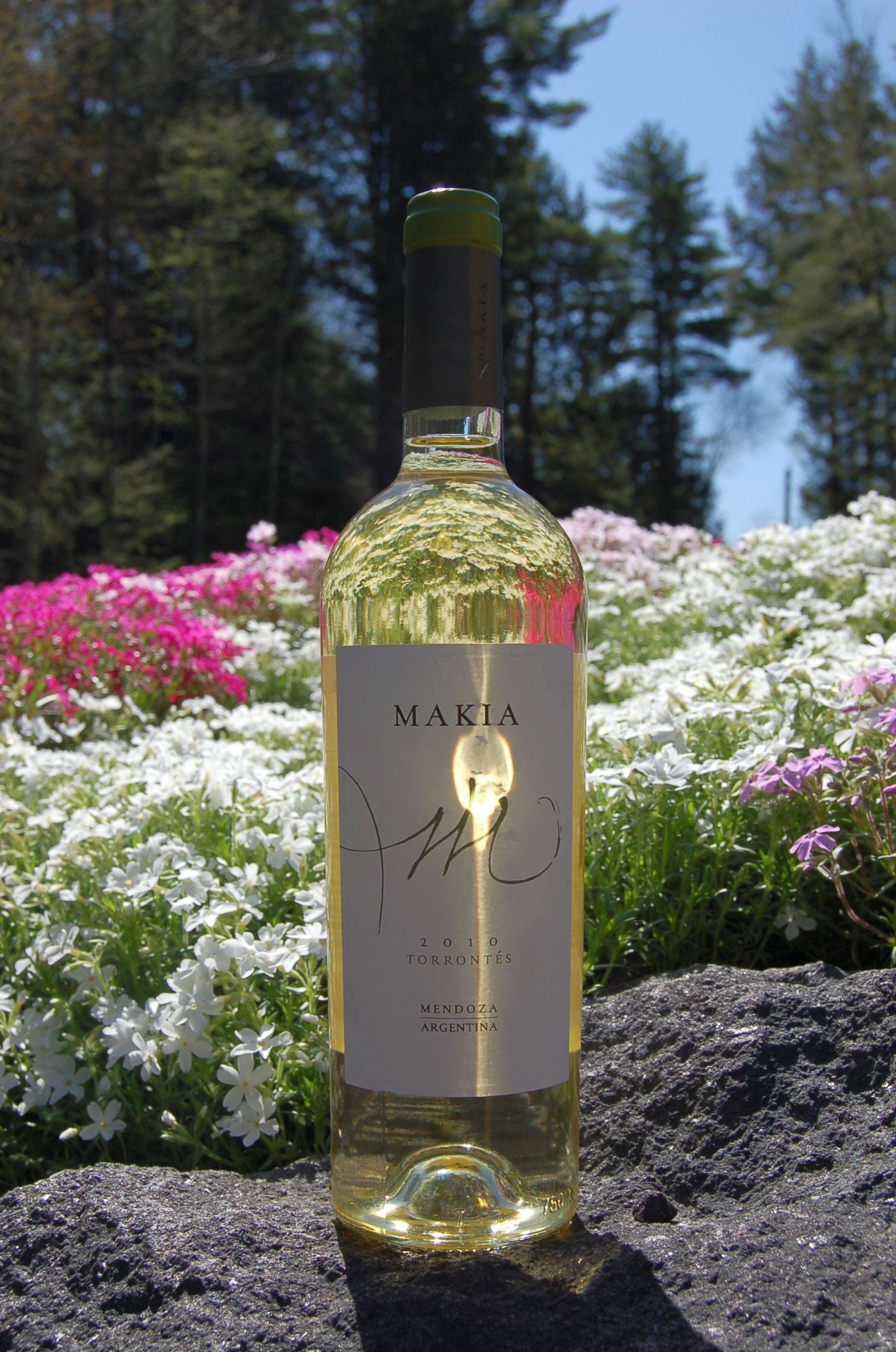 Makia Estate 2010 Torrontés 750ml Wine Bottle