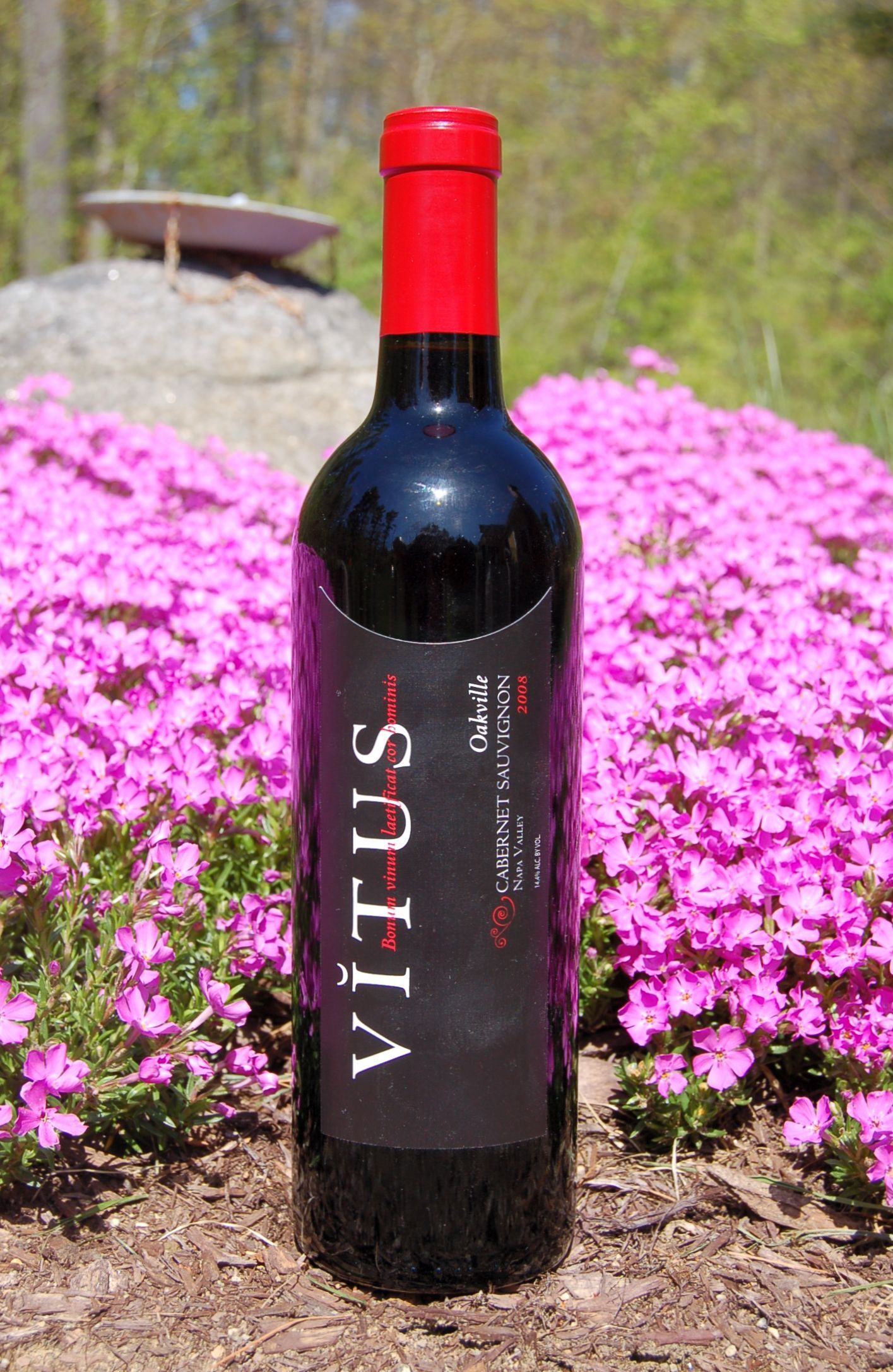 Vitus Wines 2008 Oakville Cabernet Sauvignon 750ml Wine Bottle