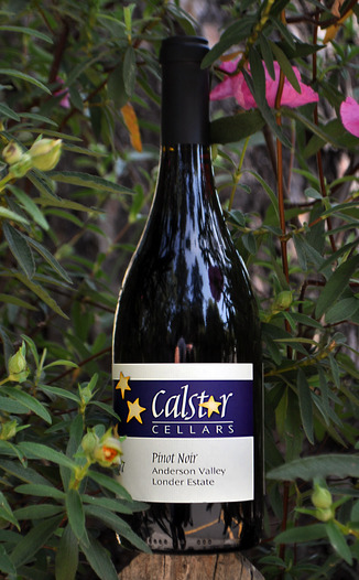 Calstar Cellars 2007 Anderson Valley Pinot Noir 750ml Wine Bottle