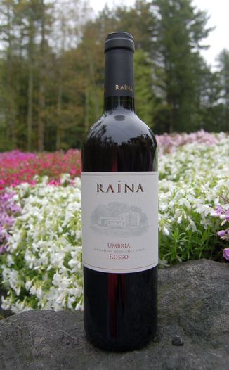 Raina - Francesco Mariani 2009 Umbria Rosso IGT 750ml Wine Bottle