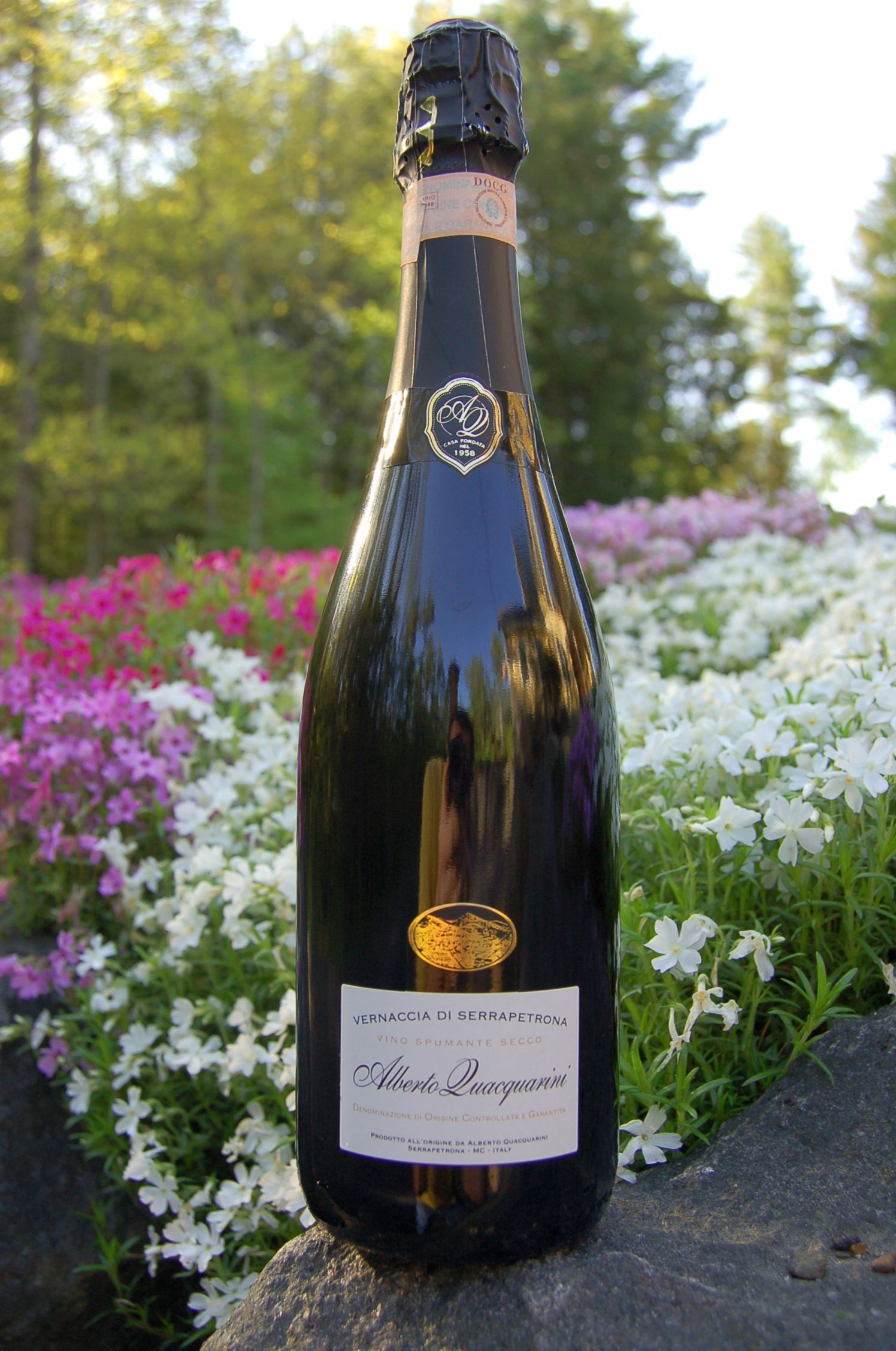 Alberto Quacquarini  Vernaccia di Serrapetrona Secco 750ml Wine Bottle