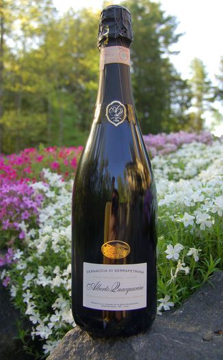 Alberto Quacquarini  Vernaccia di Serrapetrona Secco 750ml Wine Bottle