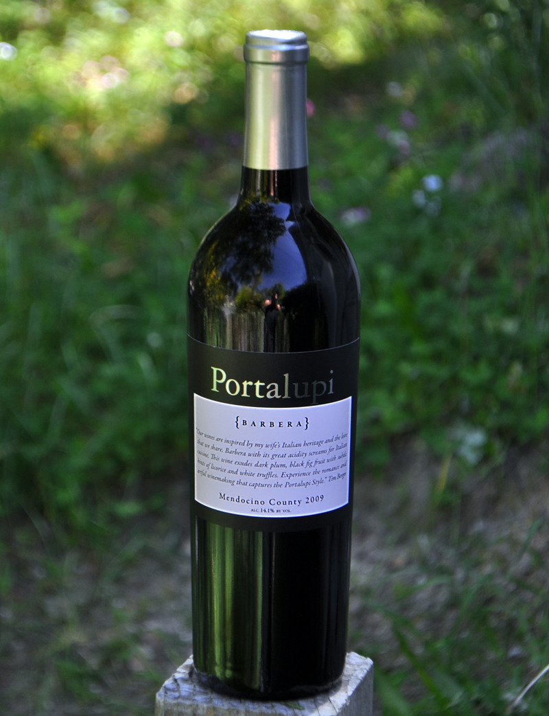 Portalupi Wine 2009 Mendocino County Barbera 750ml Wine Bottle