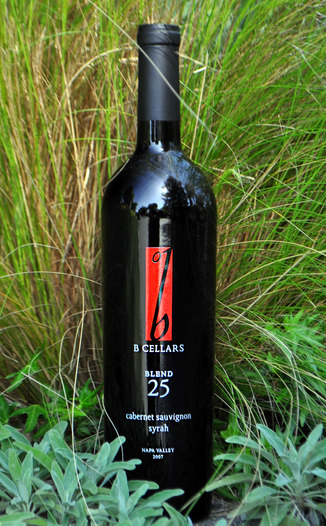 B Cellars 2007 Blend 25 750ml Wine Bottle