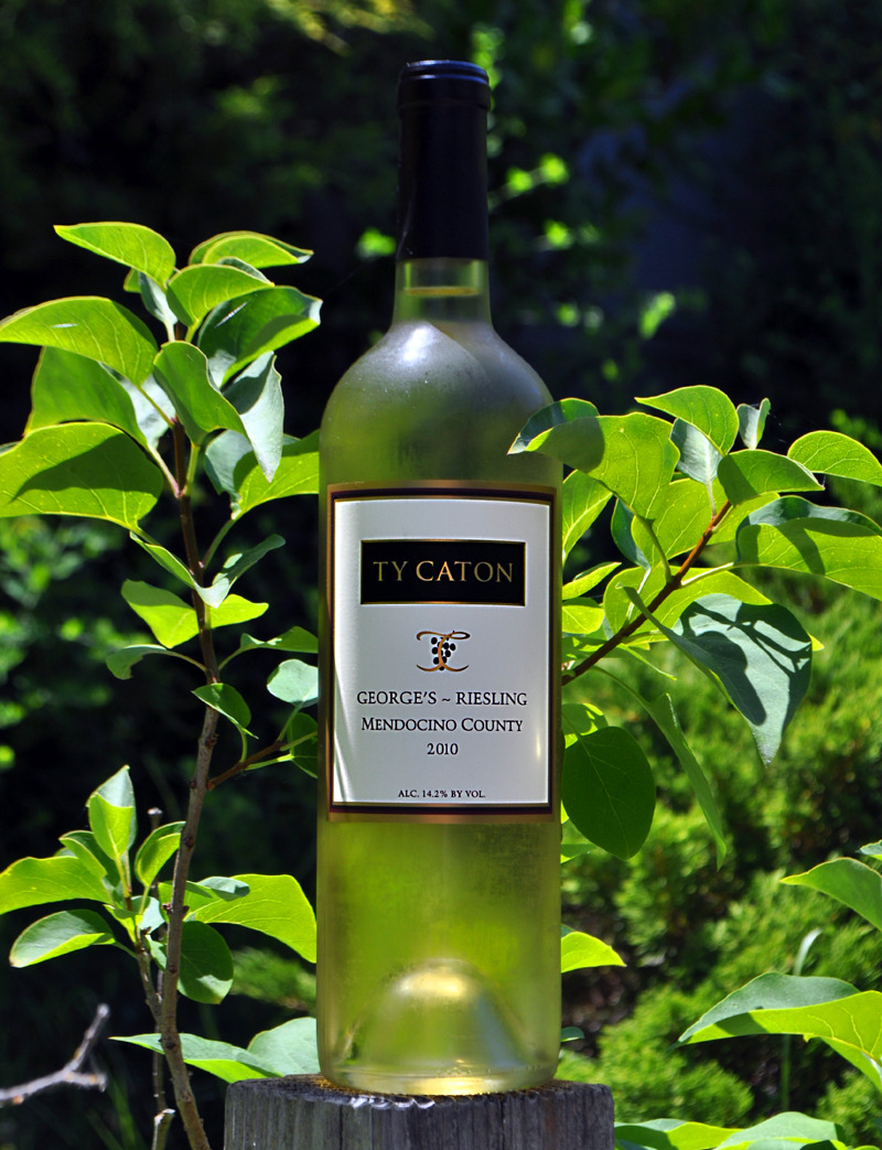 Ty Caton 2010 George's Riesling 750ml Wine Bottle