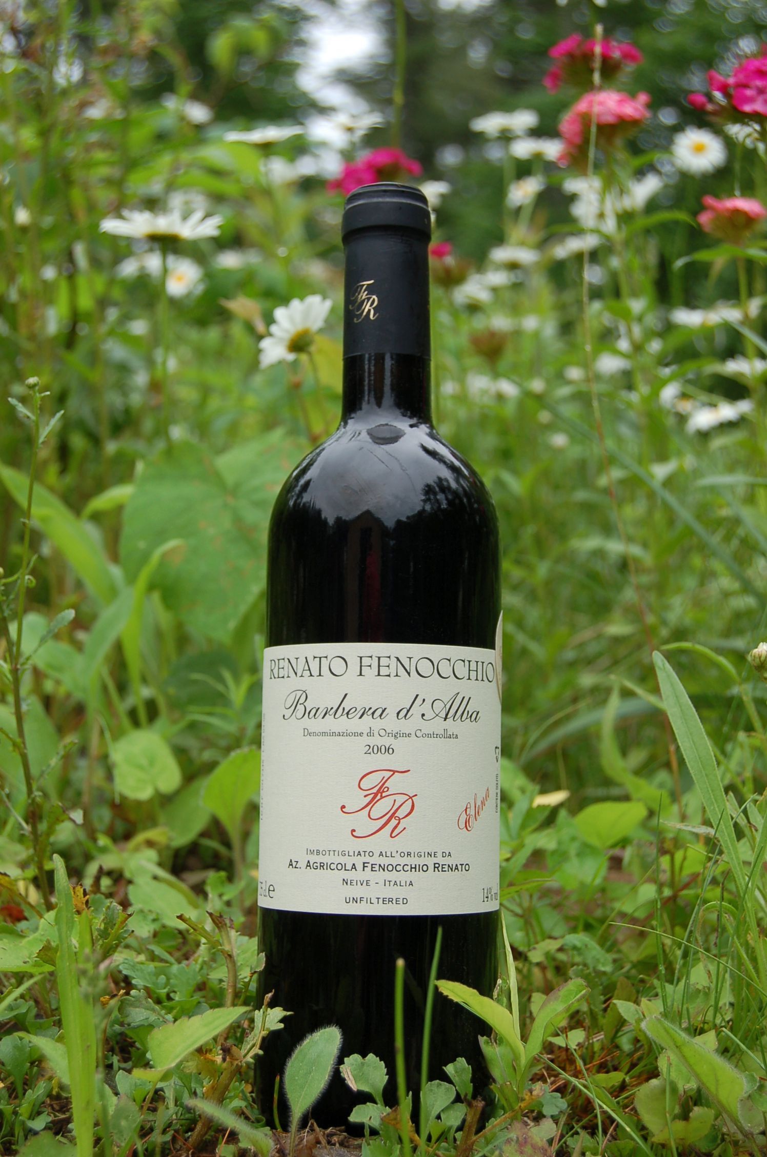 Renato Fenocchio 2006 Barbera d'Alba DOC "Elena" 750ml Wine Bottle