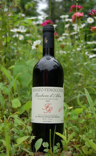Renato Fenocchio 2006 Barbera d'Alba DOC "Elena" 750ml Wine Bottle