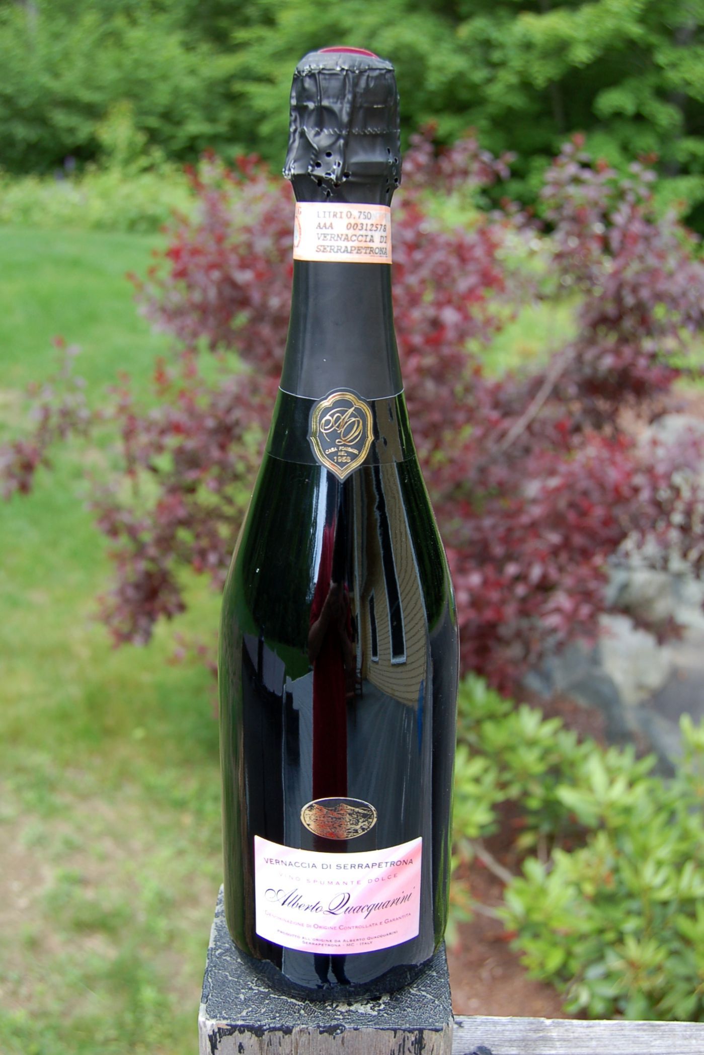 Alberto Quacquarini  Vernaccia di Serrapetrona Dolce 750ml Wine Bottle