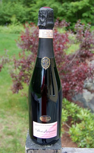 Alberto Quacquarini  Vernaccia di Serrapetrona Dolce 750ml Wine Bottle