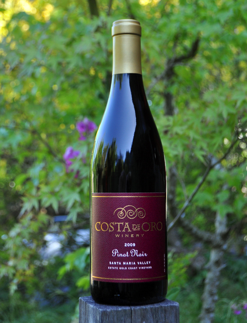 Costa De Oro 2009 Santa Maria Valley Pinot Noir 750ml Wine Bottle