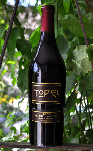 Topel Winery 2007 Estate Reserve Cabernet Sauvignon 750ml Wine Bottle