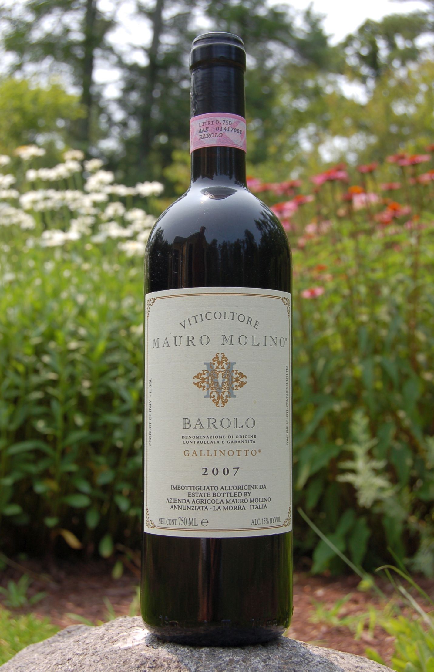 Viticoltore Mauro Molino 2007 Barolo Vigna Gallinotto DOCG 750ml Wine Bottle