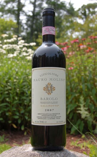 Viticoltore Mauro Molino 2007 Barolo Vigna Gallinotto DOCG 750ml Wine Bottle