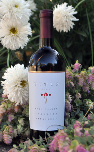 Titus Vineyards 2008 Cabernet Sauvignon 750ml Wine Bottle