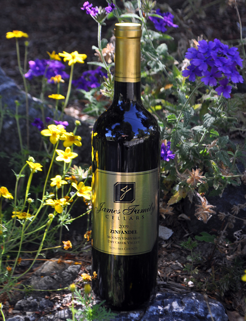 James Family Cellars 2009 Mounts Vineyard Zinfandel 750ml Wine Bottle