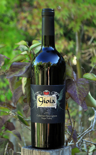 Gioia Wines 2009 Napa Valley Cabernet Sauvignon 750ml Wine Bottle