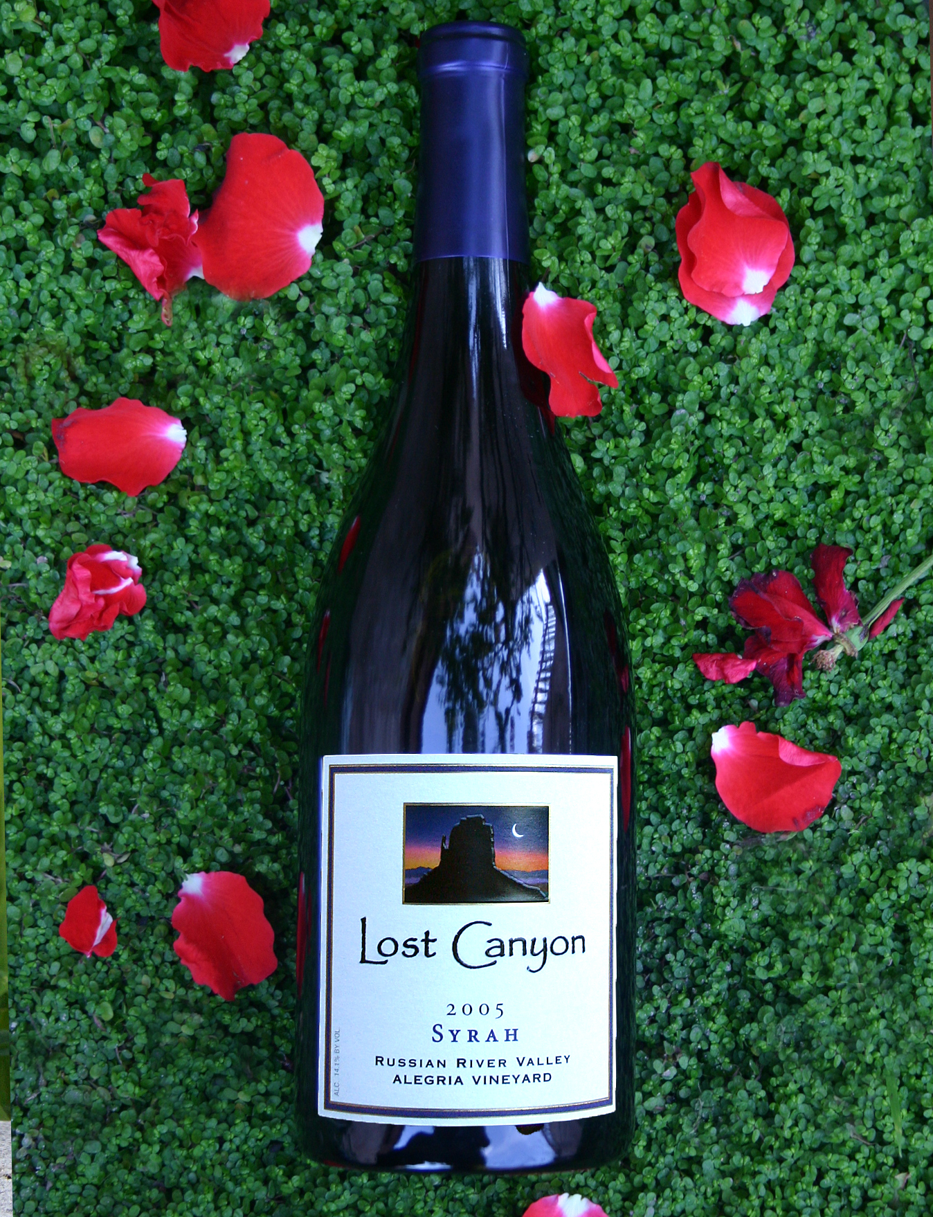 Lost Canyon Winery 2005 Syrah Russian River Valley 750ml Wine Bottle