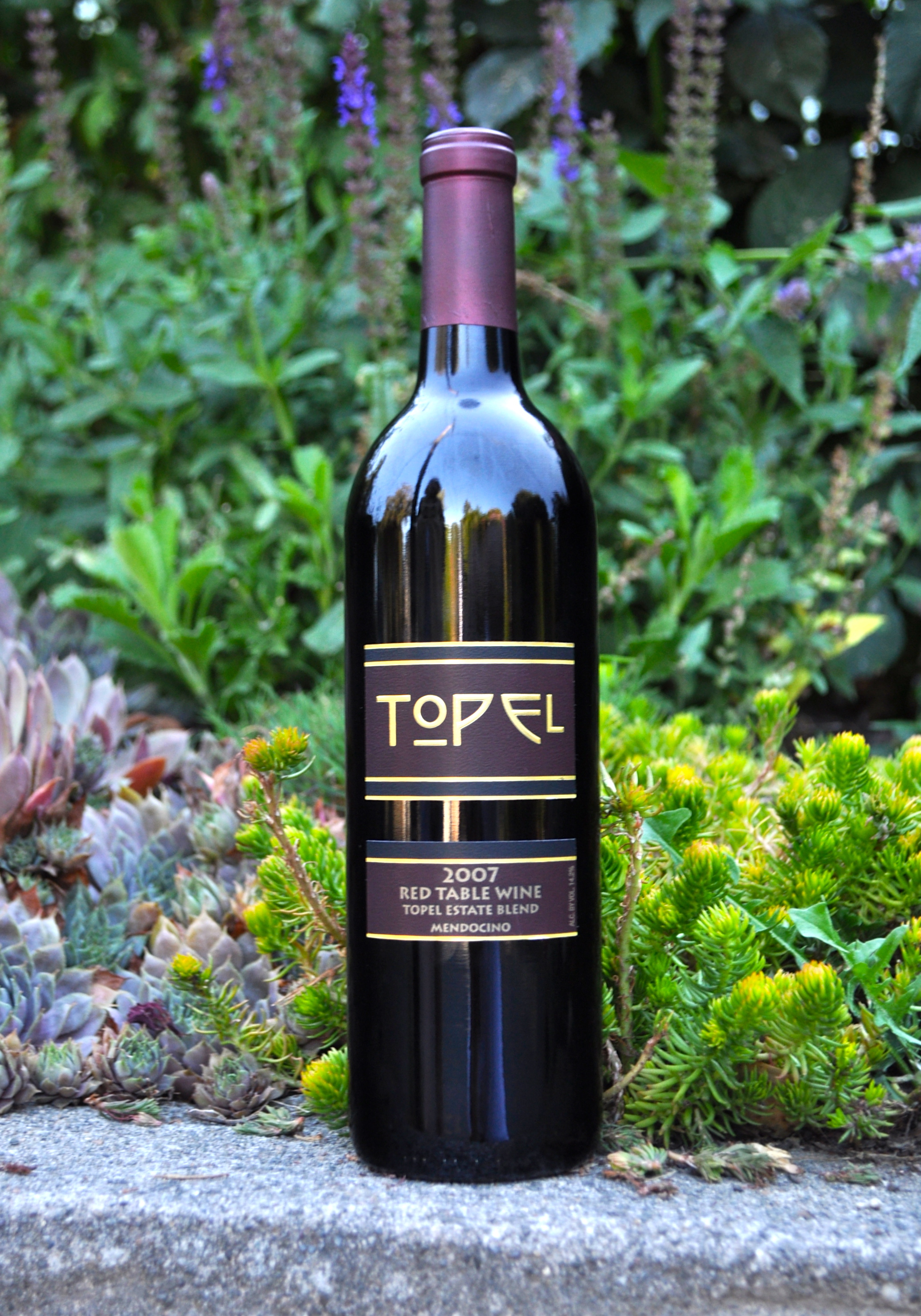 Topel Winery 2007 Red Table Wine 750ml Wine Bottle