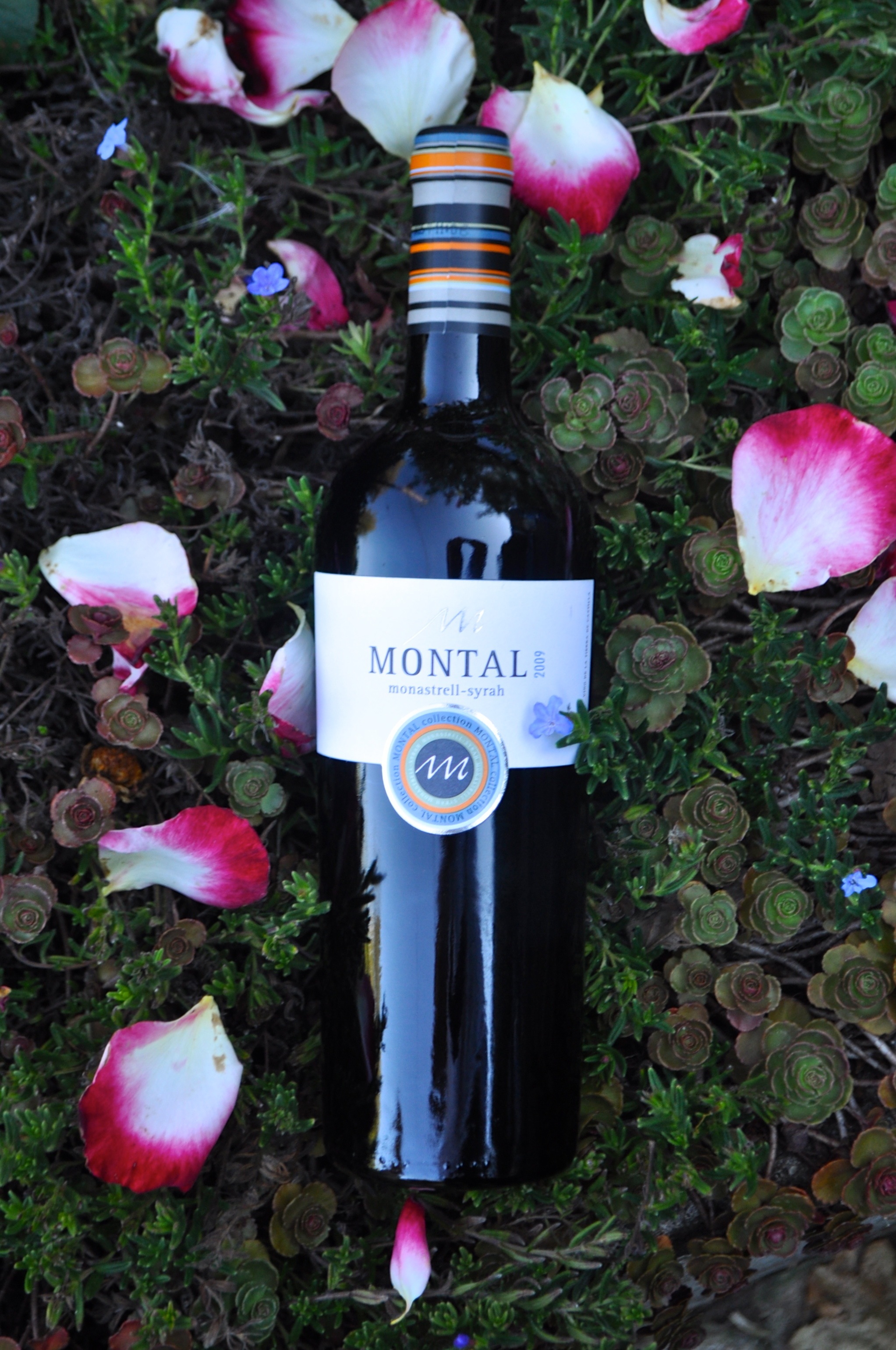 Pago de Montal 2009 Monastrell-Syrah 750ml Wine Bottle
