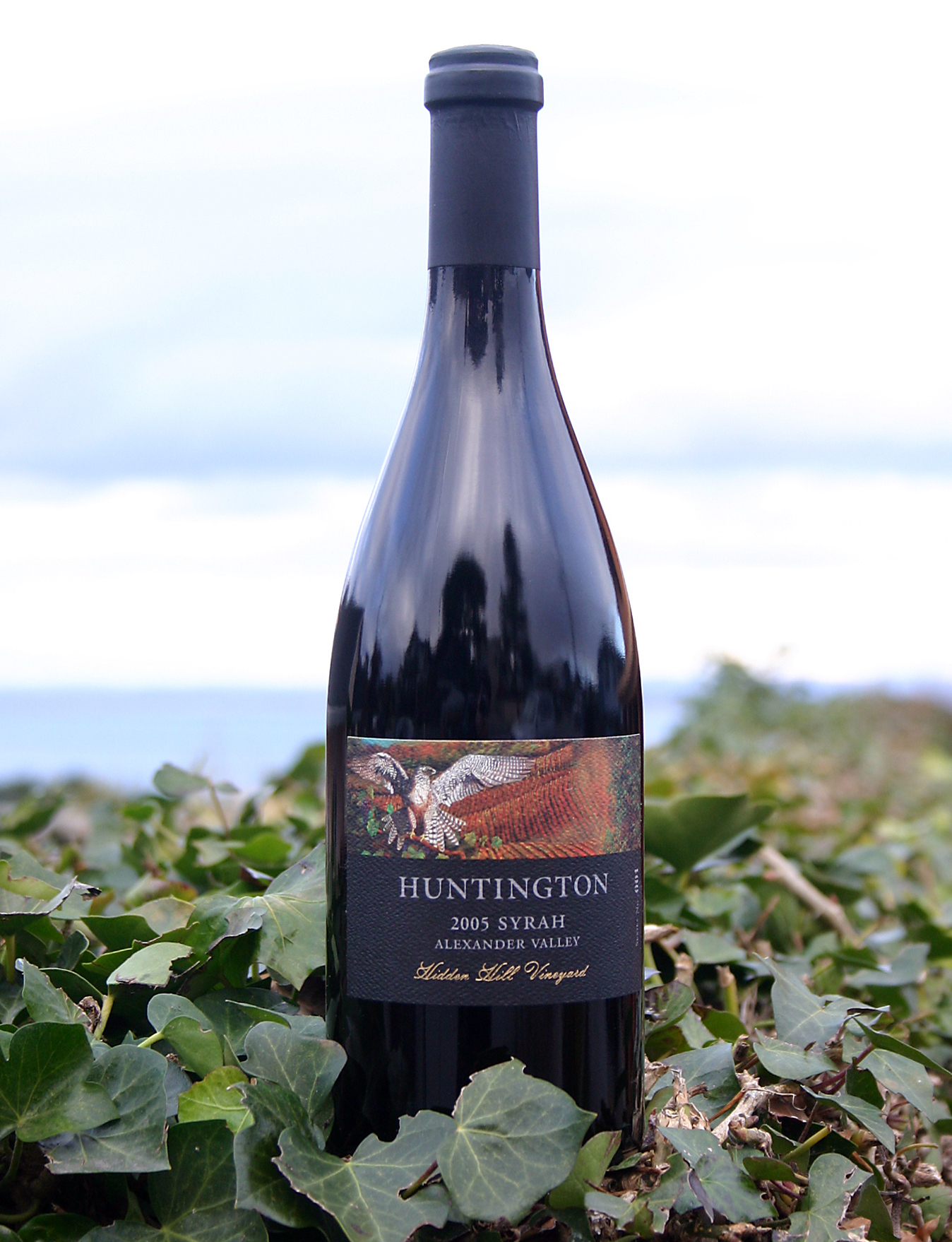 Huntington Wine Cellars 2005 Hidden Hill Reserve Syrah 750ml Wine Bottle