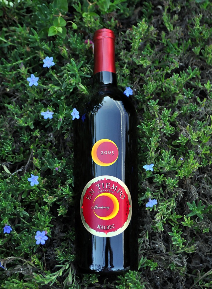 Pierre Chainier 2005 En Tiempo Malbec 750ml Wine Bottle