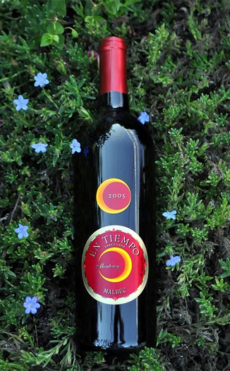 Pierre Chainier 2005 En Tiempo Malbec 750ml Wine Bottle