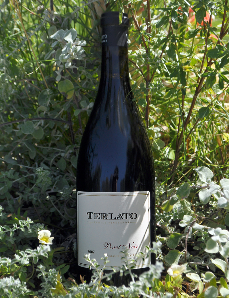 Terlato 2007 Russian River Valley Pinot Noir 750ml Wine Bottle