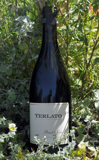Terlato 2007 Russian River Valley Pinot Noir 750ml Wine Bottle