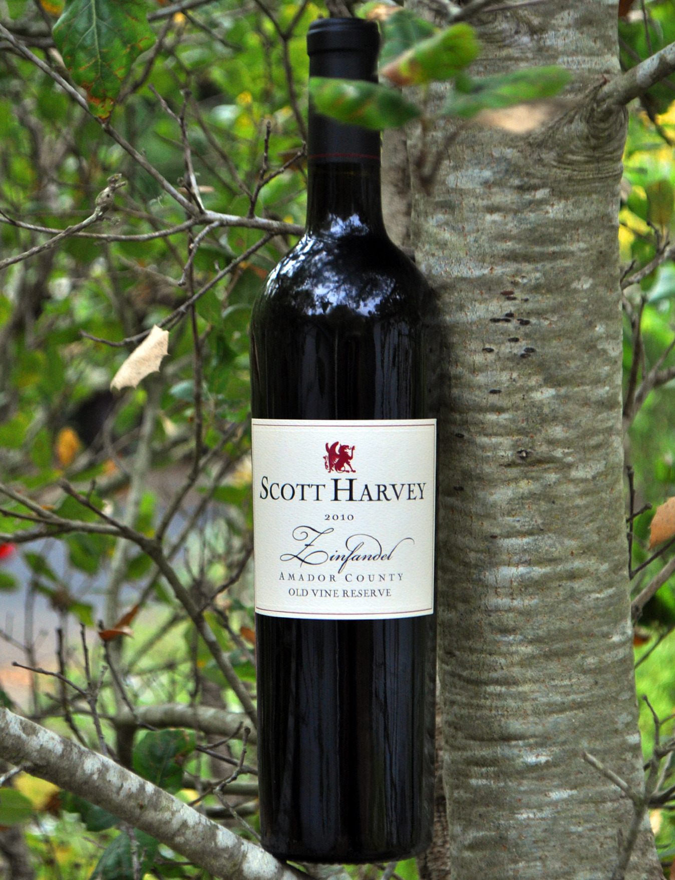 Scott Harvey Wines 2010 Old Vine Reserve Zinfandel 750ml Wine Bottle