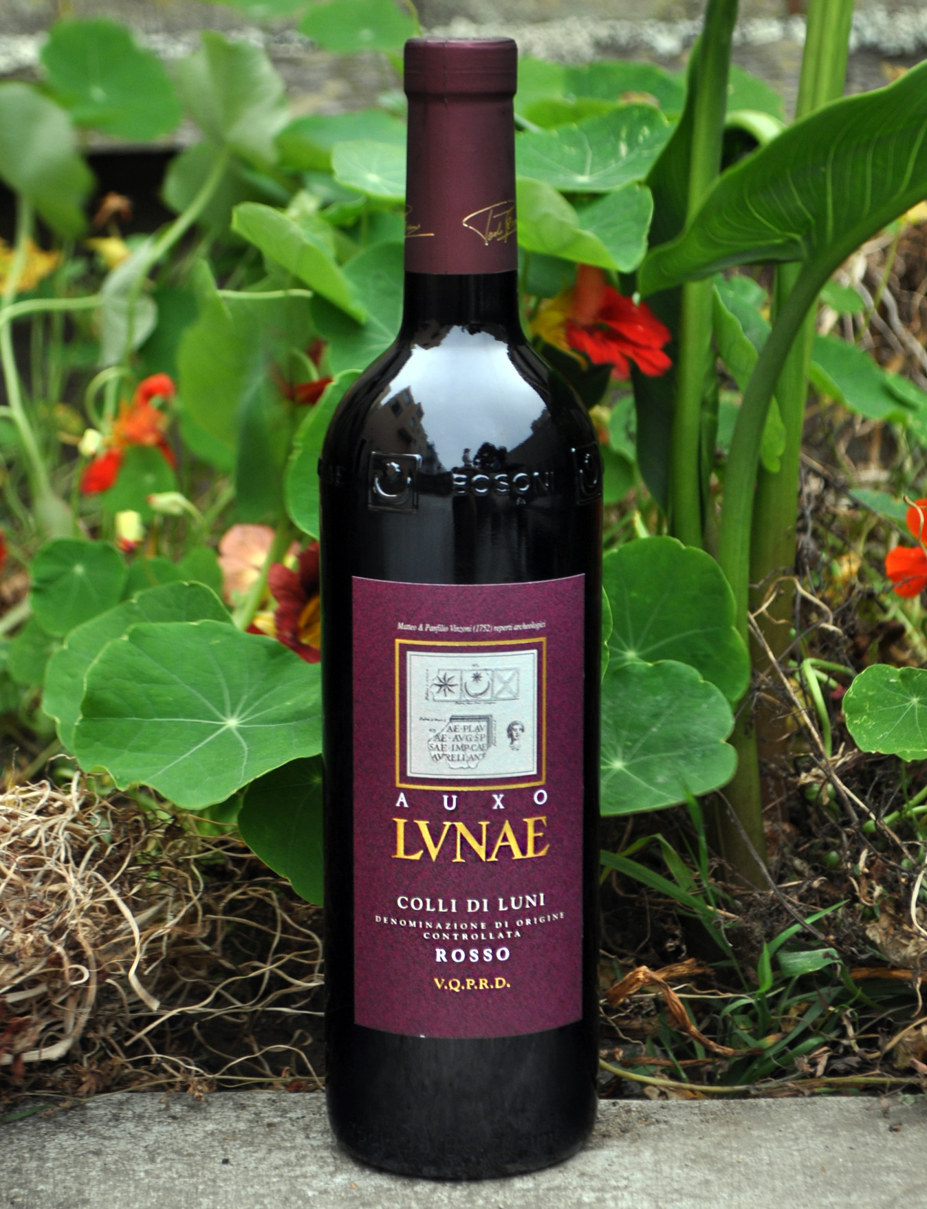 Cantine Lunae Bosoni 2010 LVNAE Rosso 750ml Wine Bottle