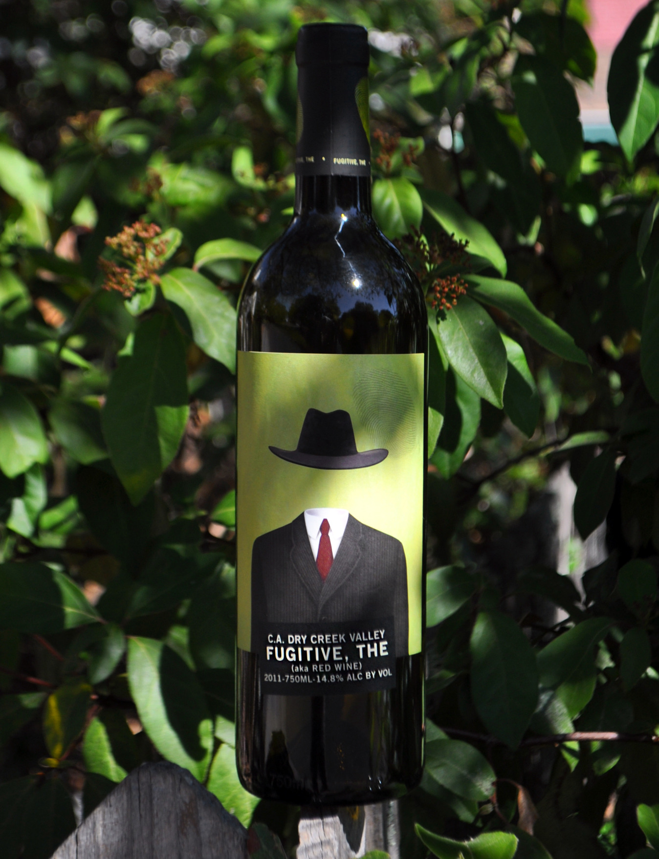 Truett-Hurst Vineyards & Winery 2011 The Fugitive Red Blend 750ml Wine Bottle