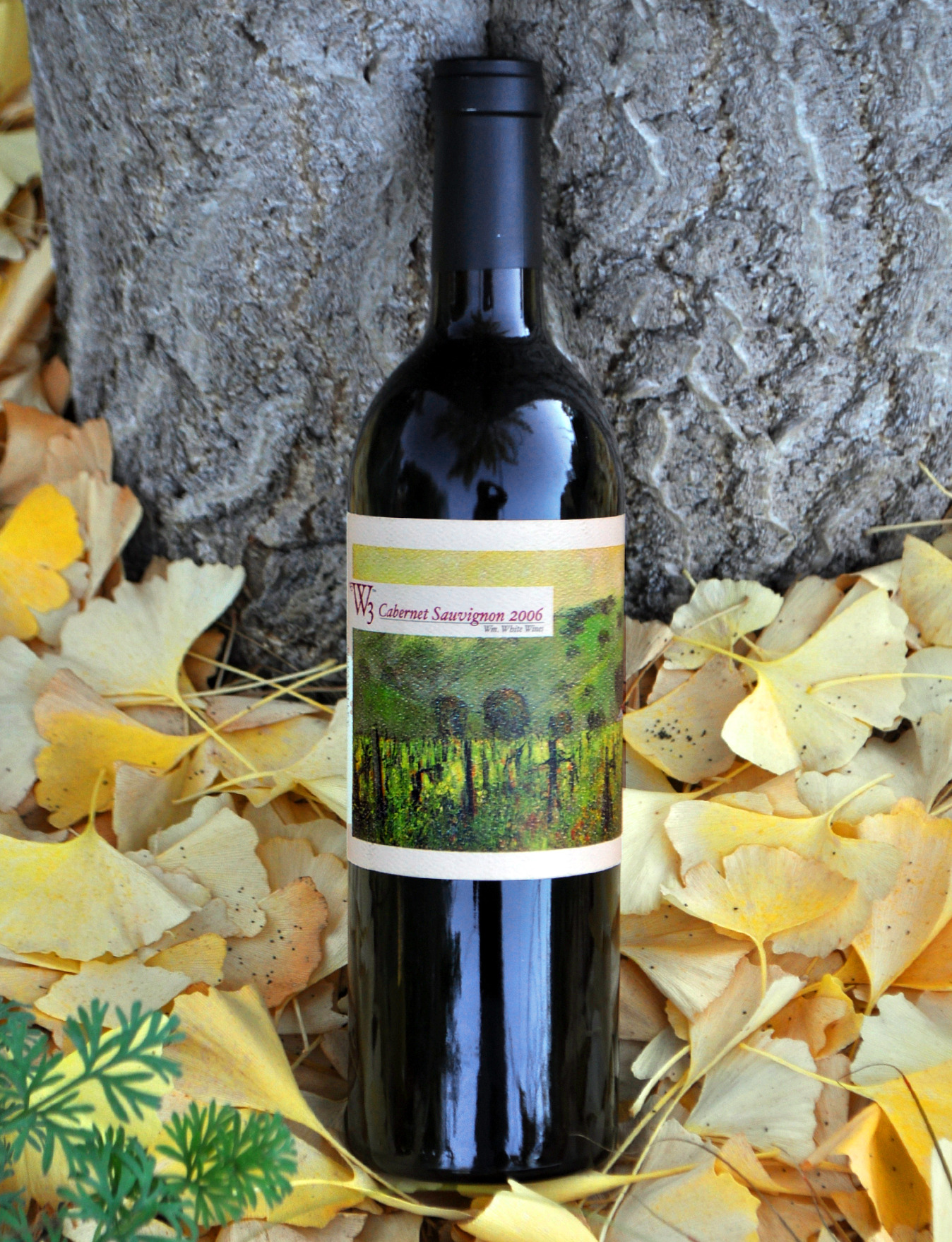 W3 - William White Wines 2006 Cabernet Sauvignon 750ml Wine Bottle