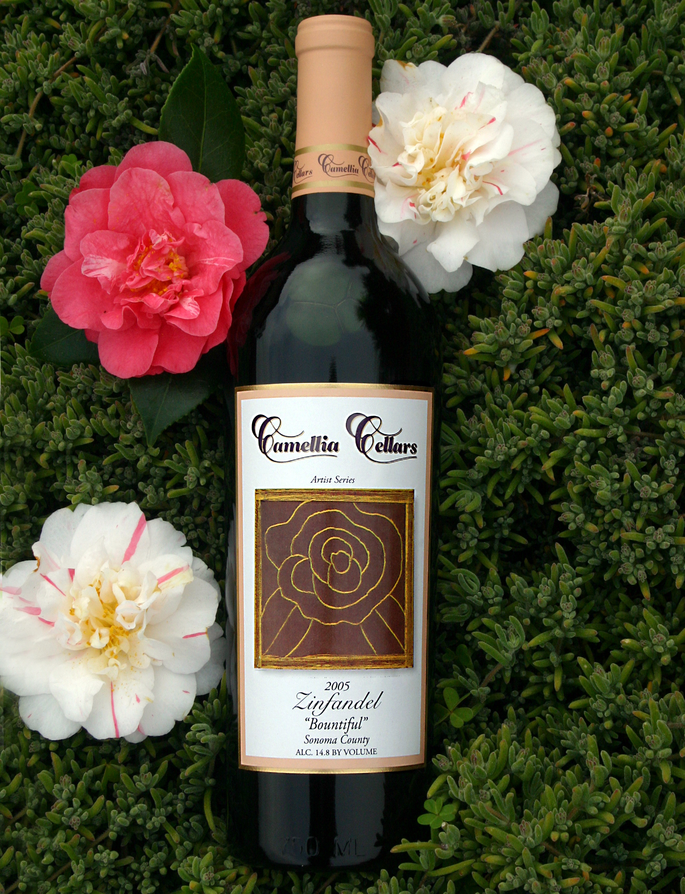 Camellia Cellars 2005 Zinfandel "Bountiful" 750ml Wine Bottle