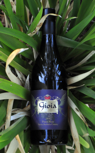 Gioia Wines 2011 Pinot Noir 750ml Wine Bottle