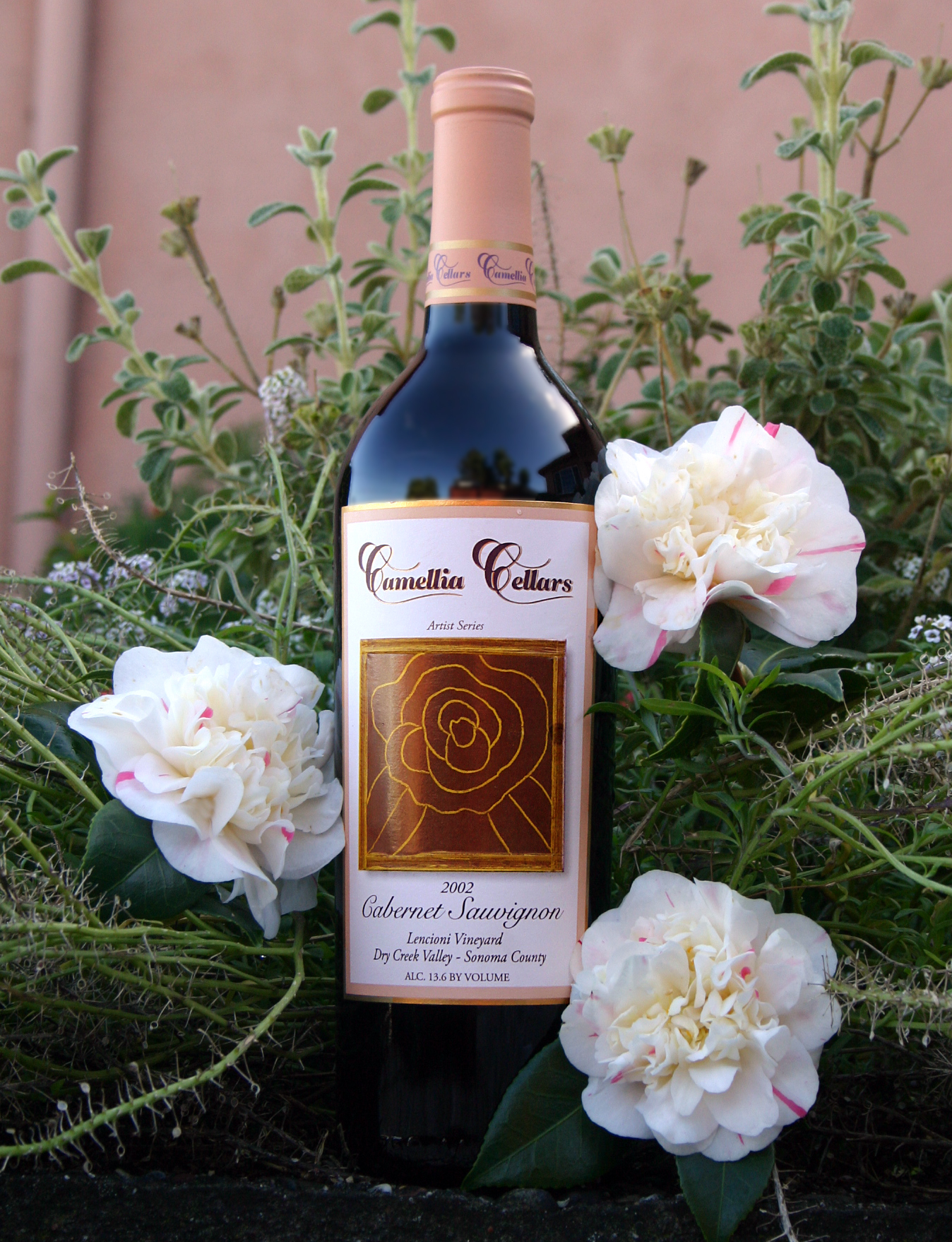 Camellia Cellars 2002 Cabernet Sauvignon 750ml Wine Bottle
