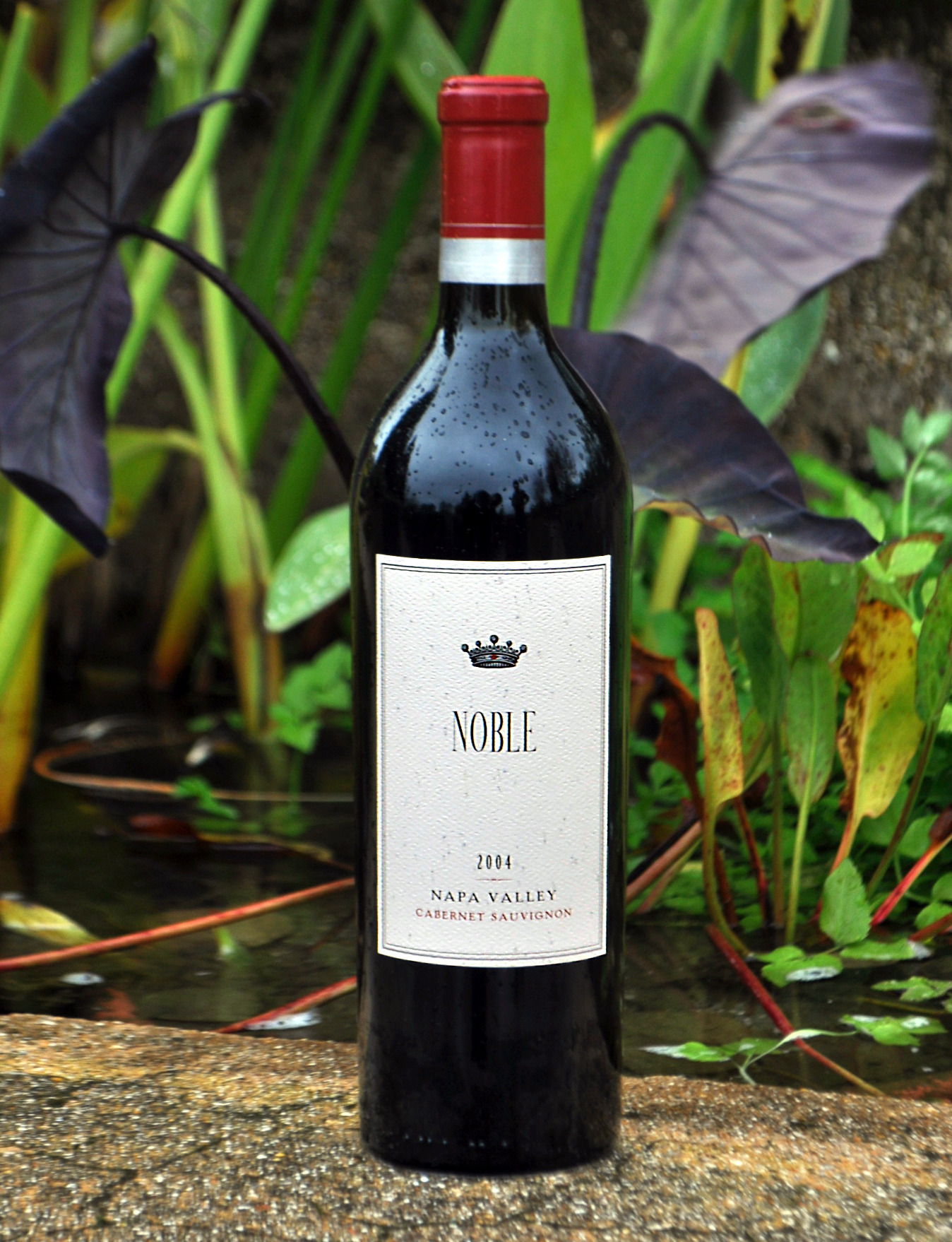 Noble Vines 2004 Napa Valley Cabernet Sauvignon 750ml Wine Bottle