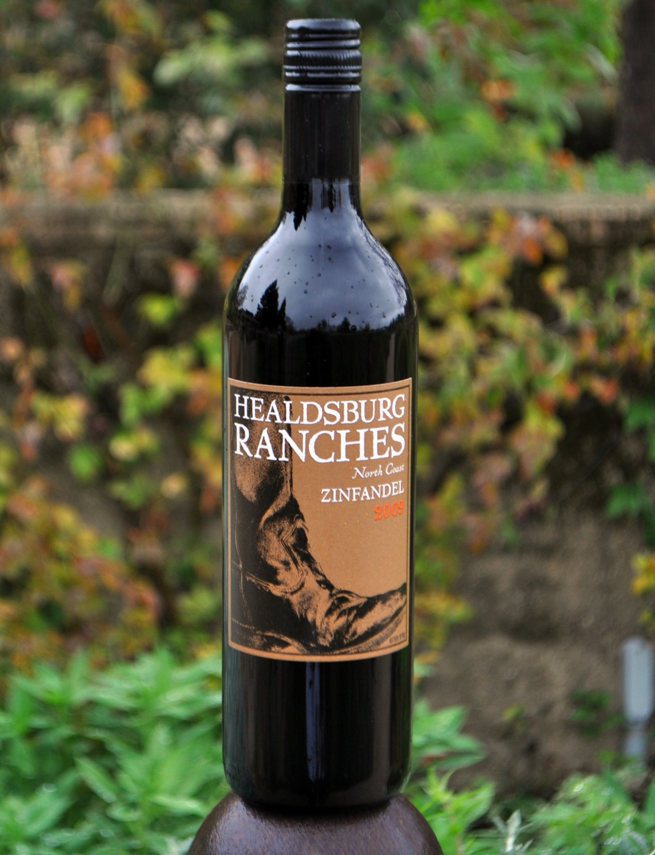 Healdsburg Ranches 2009 North Coast Zinfandel 750ml Wine Bottle