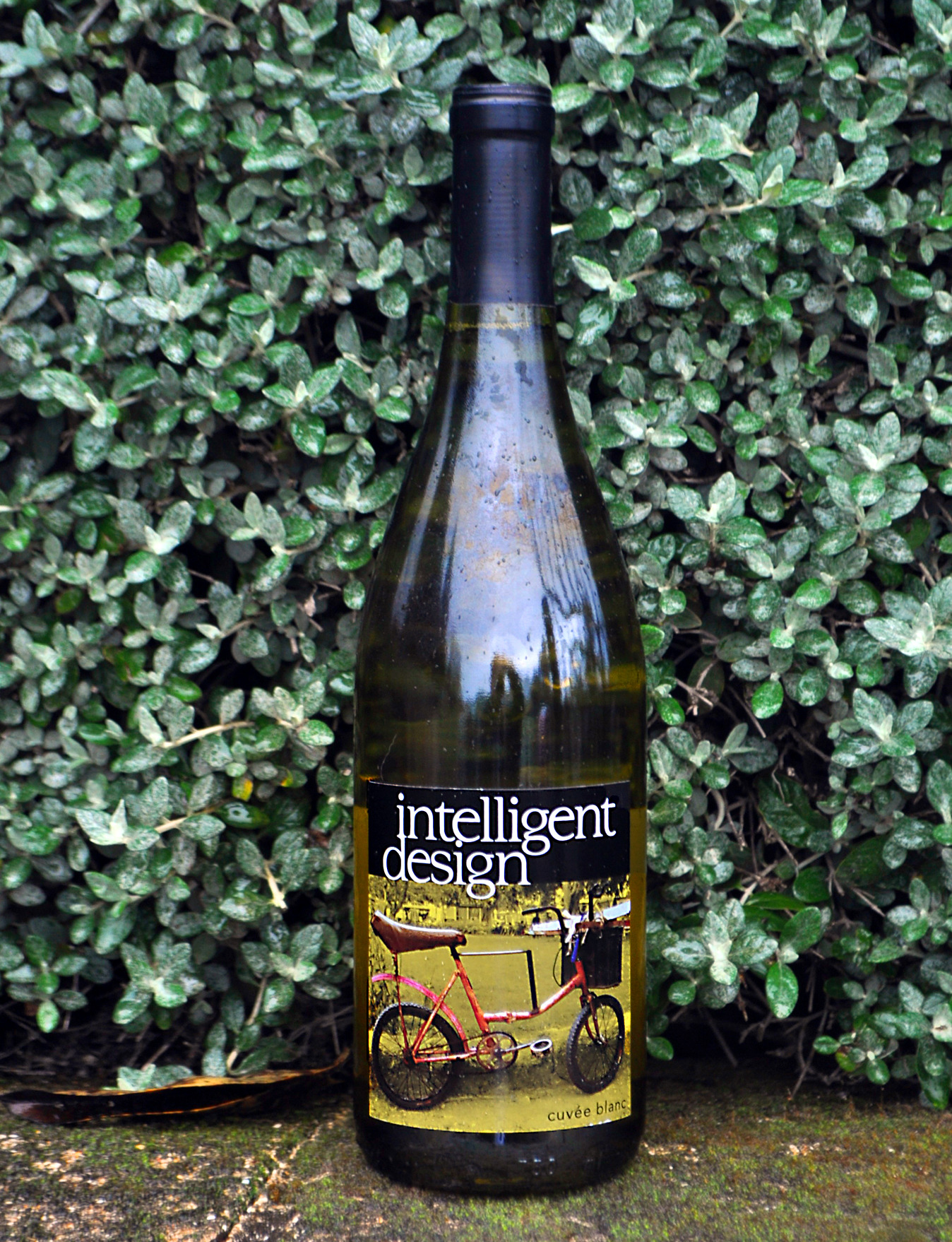 Wesley Ashley Wines 2009 Intelligent Design Cuvée Blanc 750ml Wine Bottle